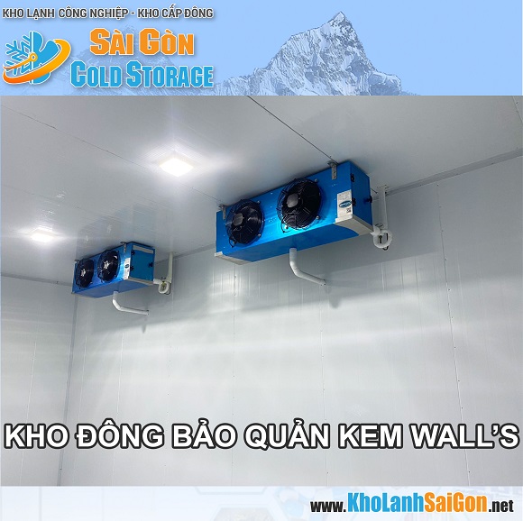 Kho đông Kem Walls - Đại lý PP Miền Nam